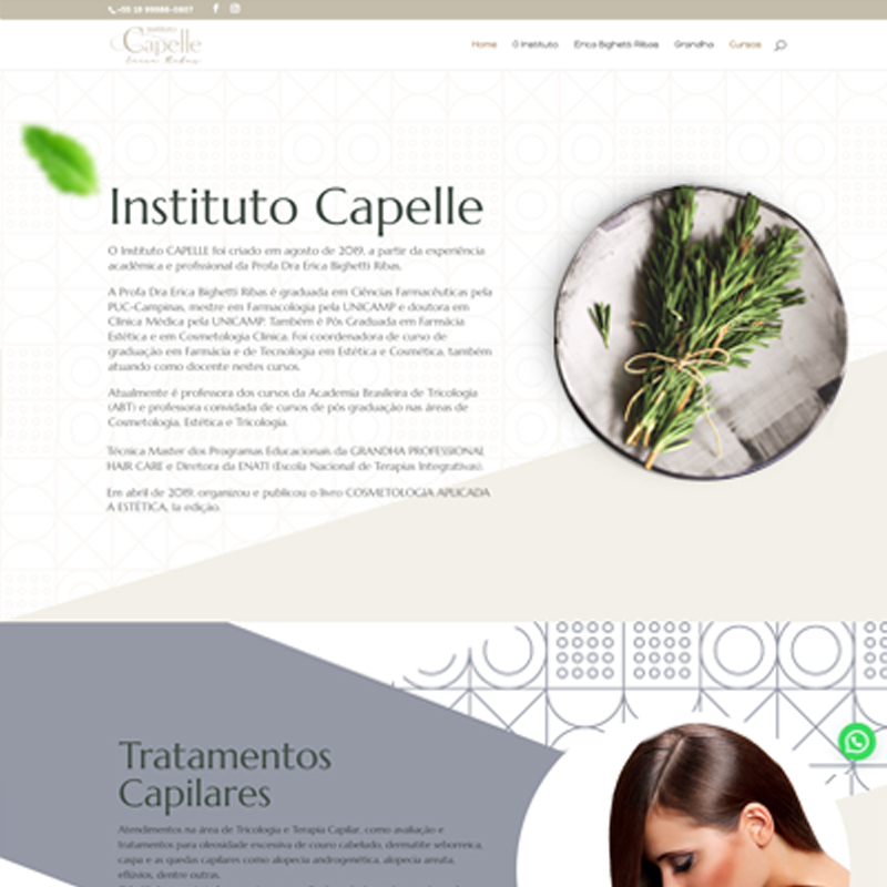 Site Instituto Capelle